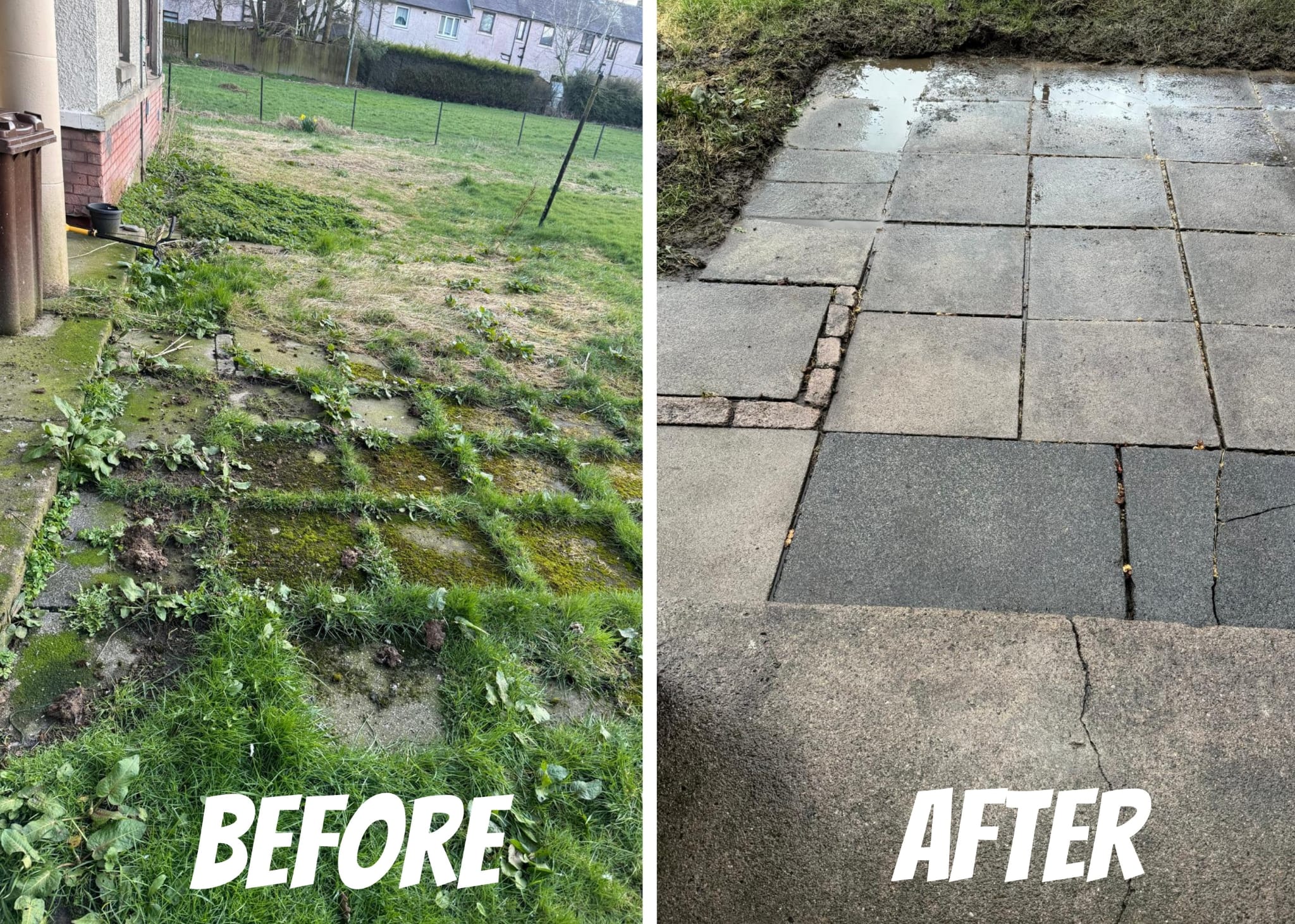Weeded, powerwashed this patio.