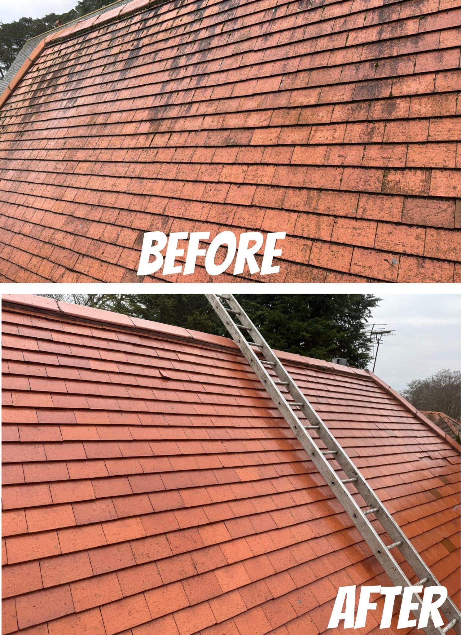 Moss removal and gutter cleaning.